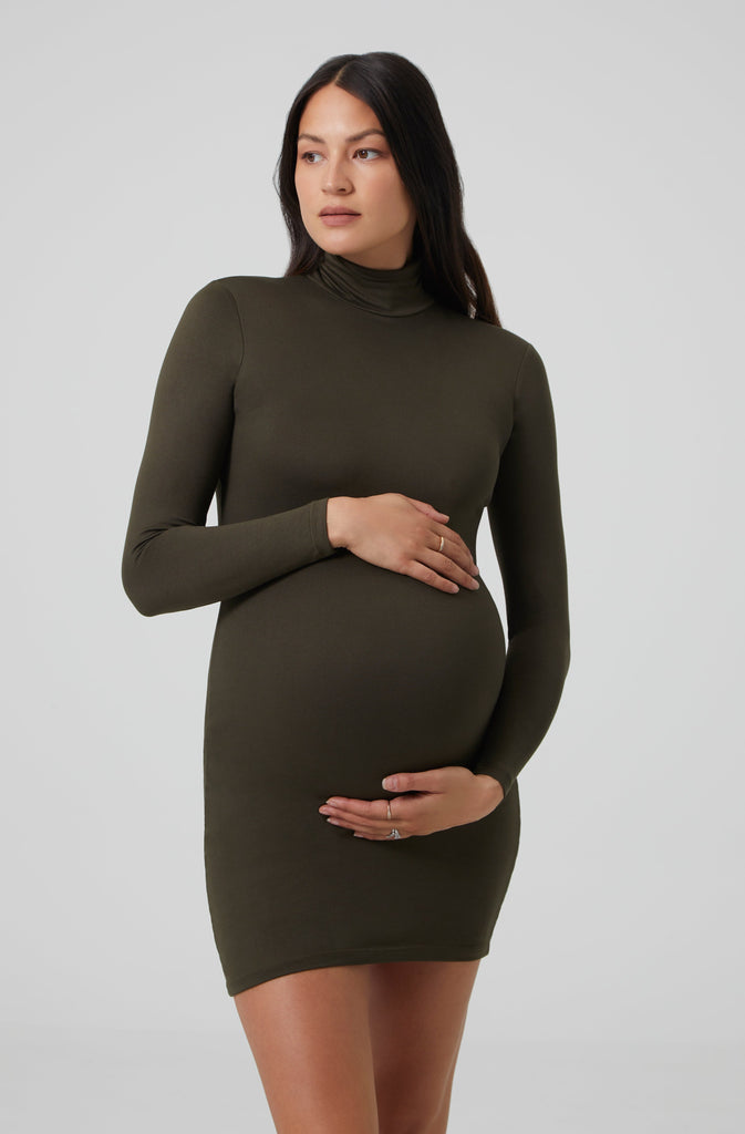 The Nicole Maternity Dress